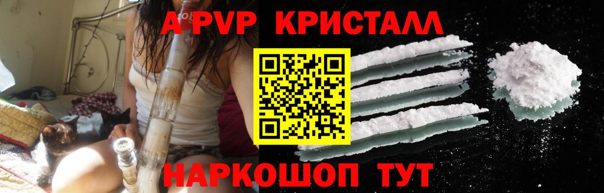 Альфа ПВП СК КРИС Канаш