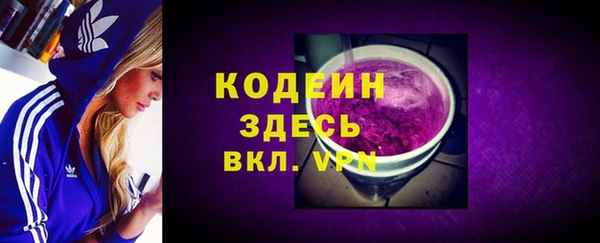 шишки Заводоуковск