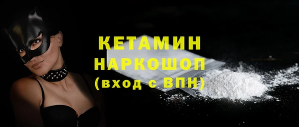 шишки Заводоуковск