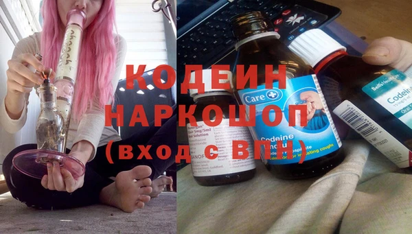 шишки Заводоуковск