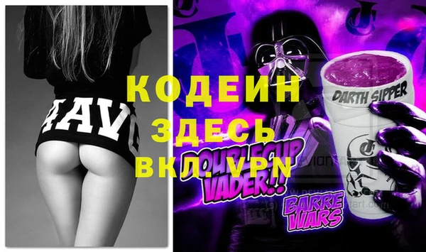 шишки Заводоуковск