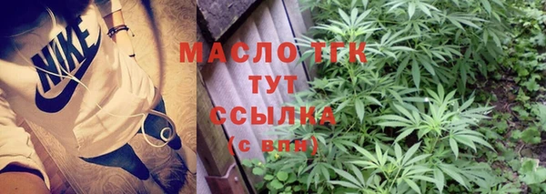 шишки Заводоуковск