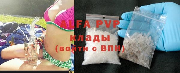 шишки Заводоуковск