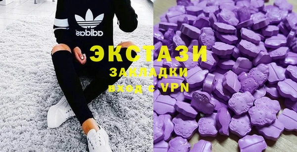 шишки Заводоуковск