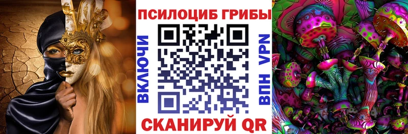 hydra как зайти  Канаш  Галлюциногенные грибы Psilocybe 