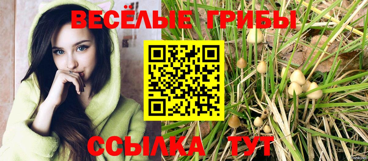 А ПВП Канаш
